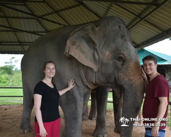 Elephant Jungle Sanctuary excursion in Pattaya Thailand - photo 1066