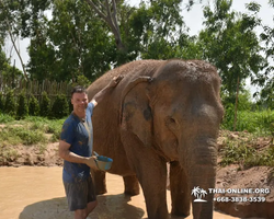 Elephant Jungle Sanctuary excursion in Pattaya Thailand - photo 161
