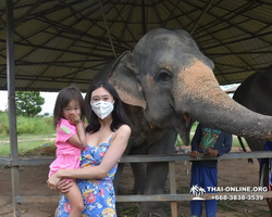 Elephant Jungle Sanctuary excursion in Pattaya Thailand - photo 885