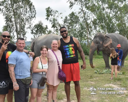 Elephant Jungle Sanctuary excursion in Pattaya Thailand - photo 46