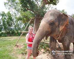 Elephant Jungle Sanctuary excursion in Pattaya Thailand - photo 23