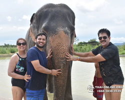 Elephant Jungle Sanctuary excursion in Pattaya Thailand - photo 1053