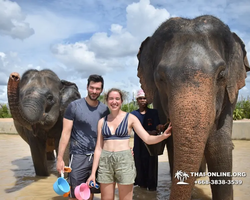 Elephant Jungle Sanctuary excursion in Pattaya Thailand - photo 696