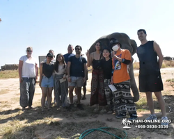 Elephant Jungle Sanctuary excursion in Pattaya Thailand - photo 953