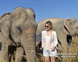 Elephant Jungle Sanctuary excursion in Pattaya Thailand - photo 677