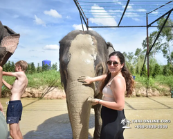 Elephant Jungle Sanctuary excursion in Pattaya Thailand - photo 591