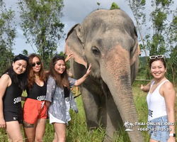 Elephant Jungle Sanctuary excursion in Pattaya Thailand - photo 226