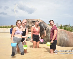 Elephant Jungle Sanctuary excursion in Pattaya Thailand - photo 1074