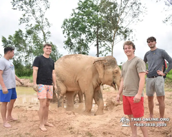 Elephant Jungle Sanctuary excursion in Pattaya Thailand - photo 174