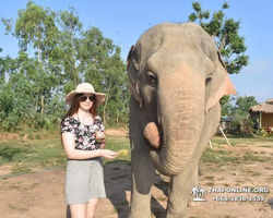 Elephant Jungle Sanctuary excursion in Pattaya Thailand - photo 224