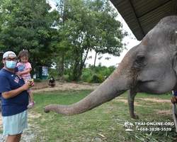 Elephant Jungle Sanctuary excursion in Pattaya Thailand - photo 149