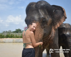 Elephant Jungle Sanctuary excursion in Pattaya Thailand - photo 991