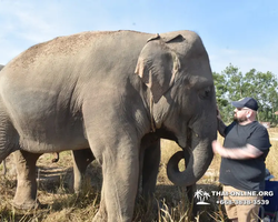 Elephant Jungle Sanctuary excursion in Pattaya Thailand - photo 327