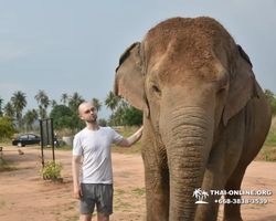 Elephant Jungle Sanctuary excursion in Pattaya Thailand - photo 1050