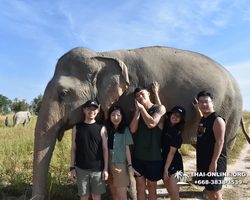 Elephant Jungle Sanctuary excursion in Pattaya Thailand - photo 760