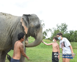 Elephant Jungle Sanctuary excursion in Pattaya Thailand - photo 894