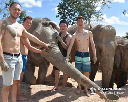 Elephant Jungle Sanctuary excursion in Pattaya Thailand - photo 389