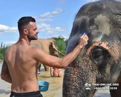 Elephant Jungle Sanctuary excursion in Pattaya Thailand - photo 712