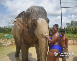 Elephant Jungle Sanctuary excursion in Pattaya Thailand - photo 856