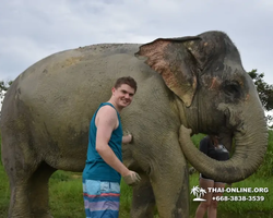 Elephant Jungle Sanctuary excursion in Pattaya Thailand - photo 1014