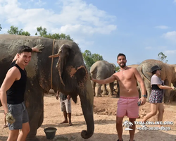 Elephant Jungle Sanctuary excursion in Pattaya Thailand - photo 782