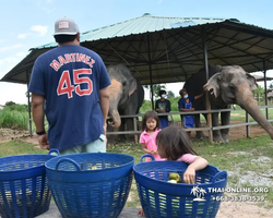 Elephant Jungle Sanctuary excursion in Pattaya Thailand - photo 578