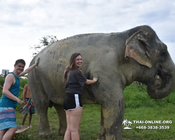 Elephant Jungle Sanctuary excursion in Pattaya Thailand - photo 1042