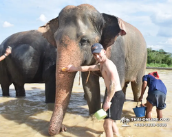 Elephant Jungle Sanctuary excursion in Pattaya Thailand - photo 680