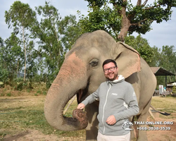 Elephant Jungle Sanctuary excursion in Pattaya Thailand - photo 55