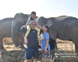 Elephant Jungle Sanctuary excursion in Pattaya Thailand - photo 1008