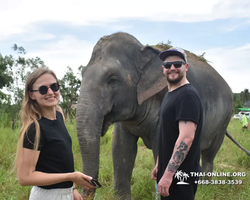 Elephant Jungle Sanctuary excursion in Pattaya Thailand - photo 1036