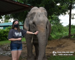 Elephant Jungle Sanctuary excursion in Pattaya Thailand - photo 621