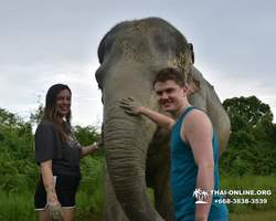 Elephant Jungle Sanctuary excursion in Pattaya Thailand - photo 1094