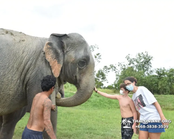 Elephant Jungle Sanctuary excursion in Pattaya Thailand - photo 934