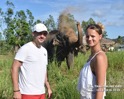 Elephant Jungle Sanctuary excursion in Pattaya Thailand - photo 214