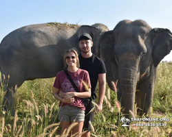 Elephant Jungle Sanctuary excursion in Pattaya Thailand - photo 538