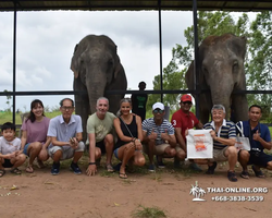 Elephant Jungle Sanctuary excursion in Pattaya Thailand - photo 681