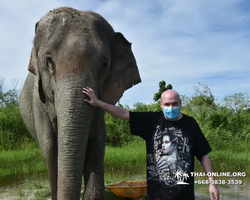 Elephant Jungle Sanctuary excursion in Pattaya Thailand - photo 840