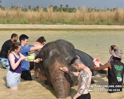 Elephant Jungle Sanctuary excursion in Pattaya Thailand - photo 668