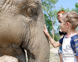 Elephant Jungle Sanctuary excursion in Pattaya Thailand - photo 112