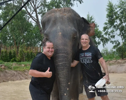 Elephant Jungle Sanctuary excursion in Pattaya Thailand - photo 607