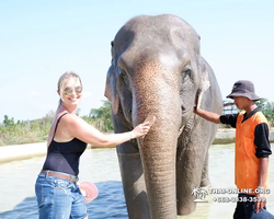 Elephant Jungle Sanctuary excursion in Pattaya Thailand - photo 835