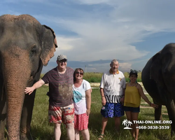 Elephant Jungle Sanctuary excursion in Pattaya Thailand - photo 875