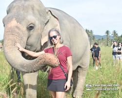 Elephant Jungle Sanctuary excursion in Pattaya Thailand - photo 672