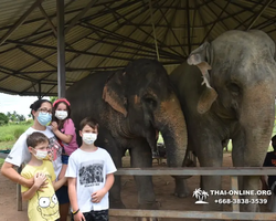 Elephant Jungle Sanctuary excursion in Pattaya Thailand - photo 926