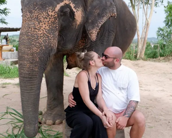 Elephant Jungle Sanctuary excursion in Pattaya Thailand - photo 286