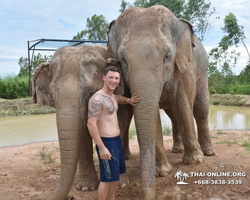 Elephant Jungle Sanctuary excursion in Pattaya Thailand - photo 280