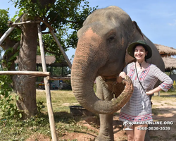 Elephant Jungle Sanctuary excursion in Pattaya Thailand - photo 41