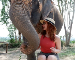 Elephant Jungle Sanctuary excursion in Pattaya Thailand - photo 250