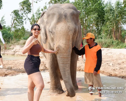 Elephant Jungle Sanctuary excursion in Pattaya Thailand - photo 189